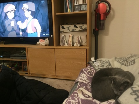 {FC7C236C-0F19-4723-8A48-9260FB9D669B:01}