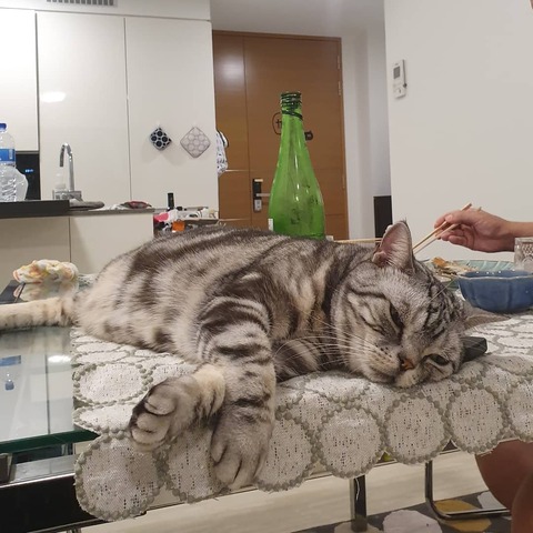 IMG_20200108_075405_648