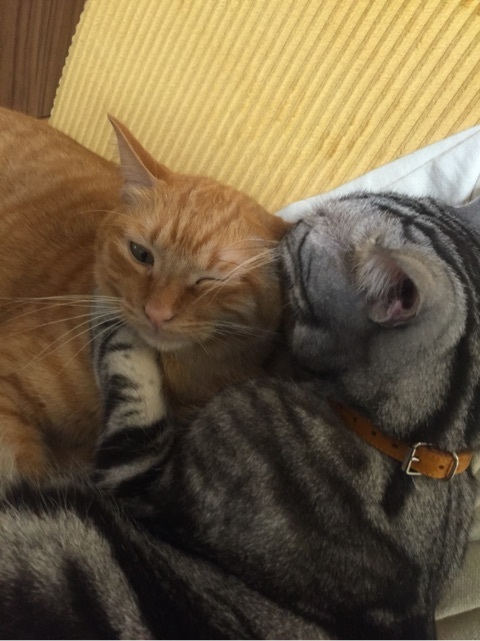 {AAB219D4-142C-45B8-B345-101C2211D709:01}