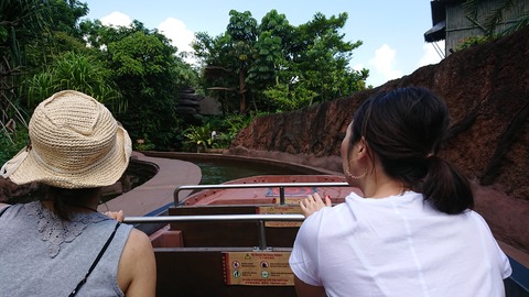 DSCPDC_0002_BURST20190106115643753_COVER