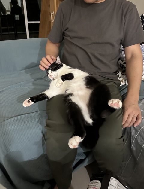 FullSizeRender