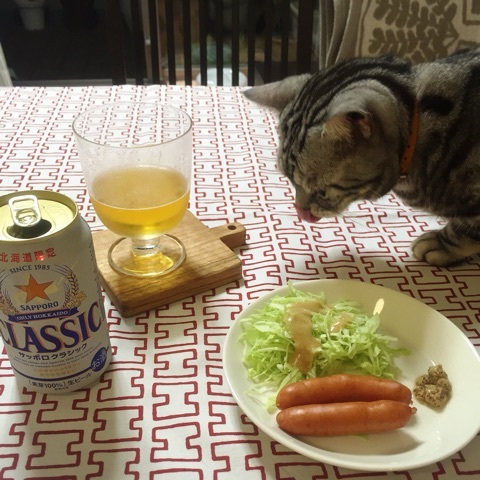 {39A7DC0D-92AC-4B45-A2D9-E9751B8FBD60:01}