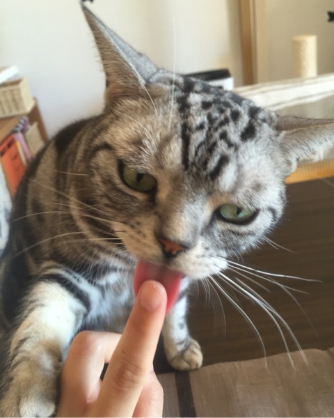 {23EDBCEB-8968-4D33-9904-AF9D961EAAAC:01}