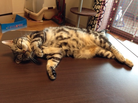 {56874FBE-DF2F-4678-950A-25E2C8C2040A:01}