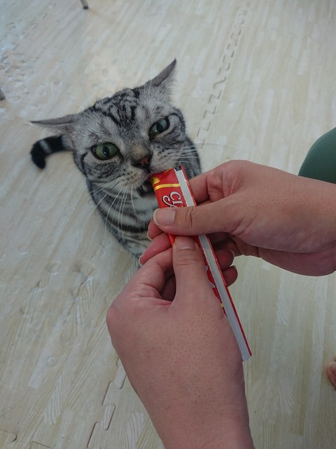 [画像:8fddb8d1-s.jpg]