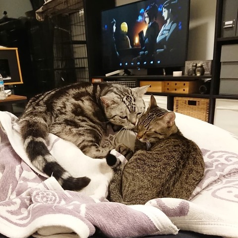 IMG_20190419_084857_447