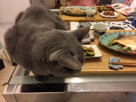 18-04-26-08-29-16-037_deco