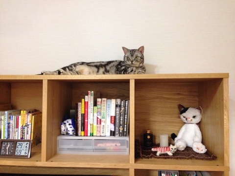 {98F857B9-00A9-417D-BE7E-17931B4E6565:01}