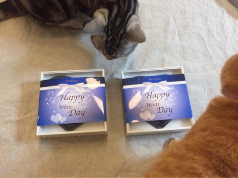 {9E978DC5-D78D-46FB-85DB-9977B7DFCE98}