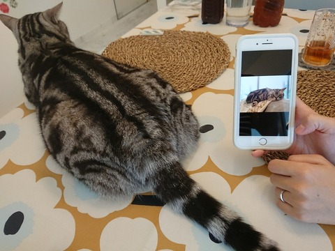 DSCPDC_0000_BURST20171228142043662