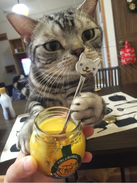 {7C038D2F-6CC1-4EDE-B8C1-84DE88341CF8:01}