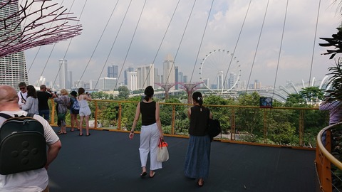 DSC_4536