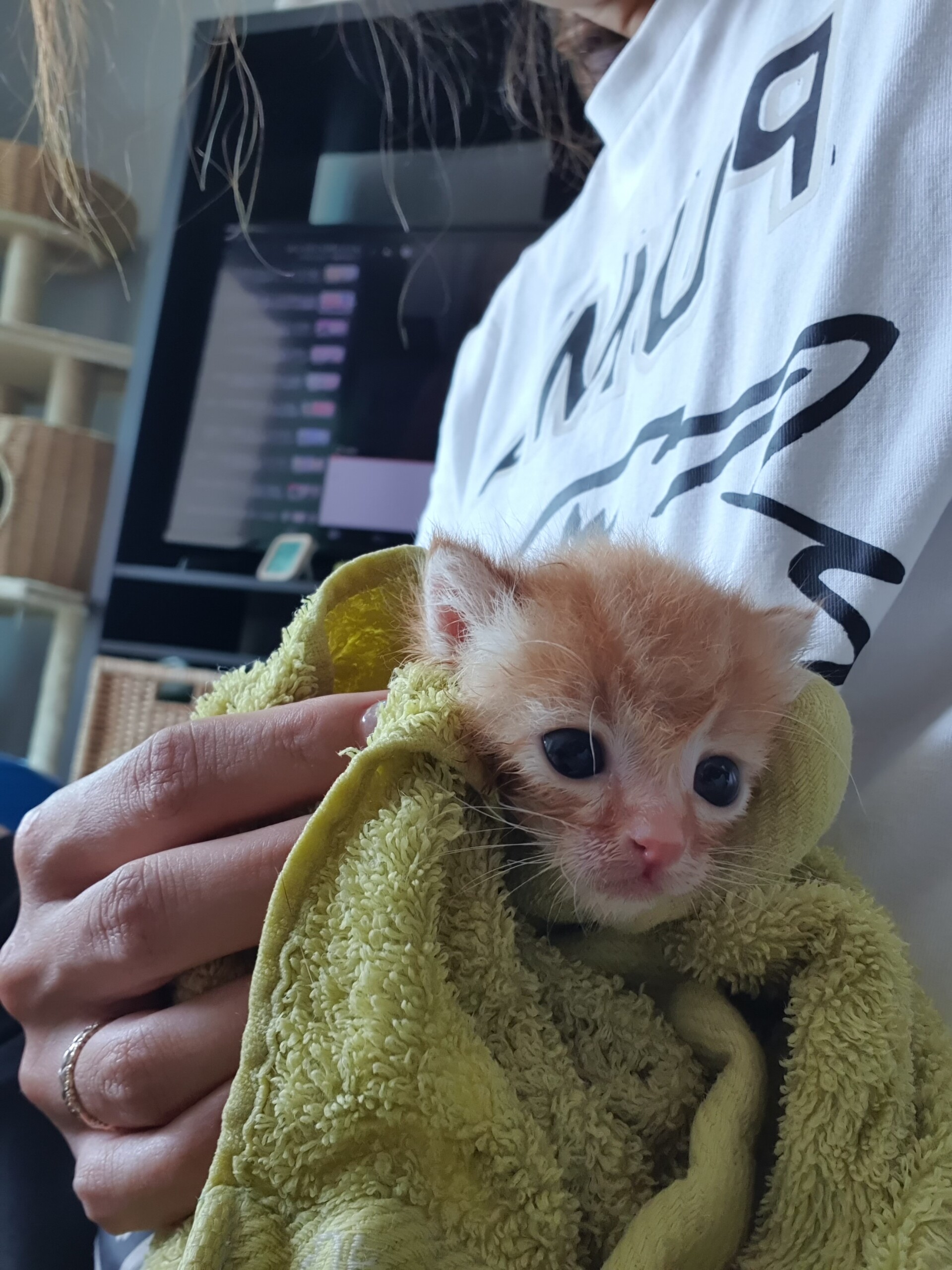 もんちゃん、泳ぐタイプでした。 : ねころぐ ～にゃんごくLife @クアラ 