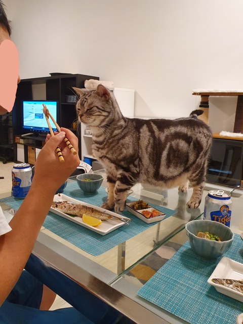 19-10-16-07-33-56-977_deco