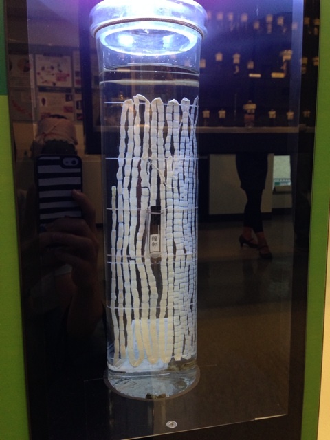 {8FC26605-EAAE-46F1-B1D9-95890C520612:01}