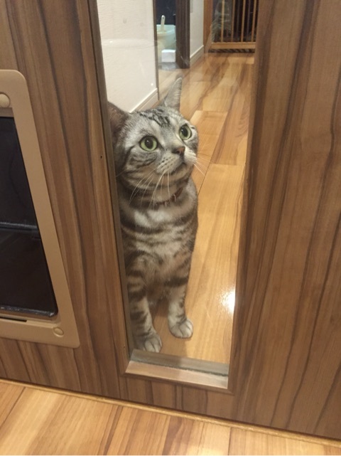 {111B834C-DDF4-48BC-AD66-46F84BBD1C53:01}