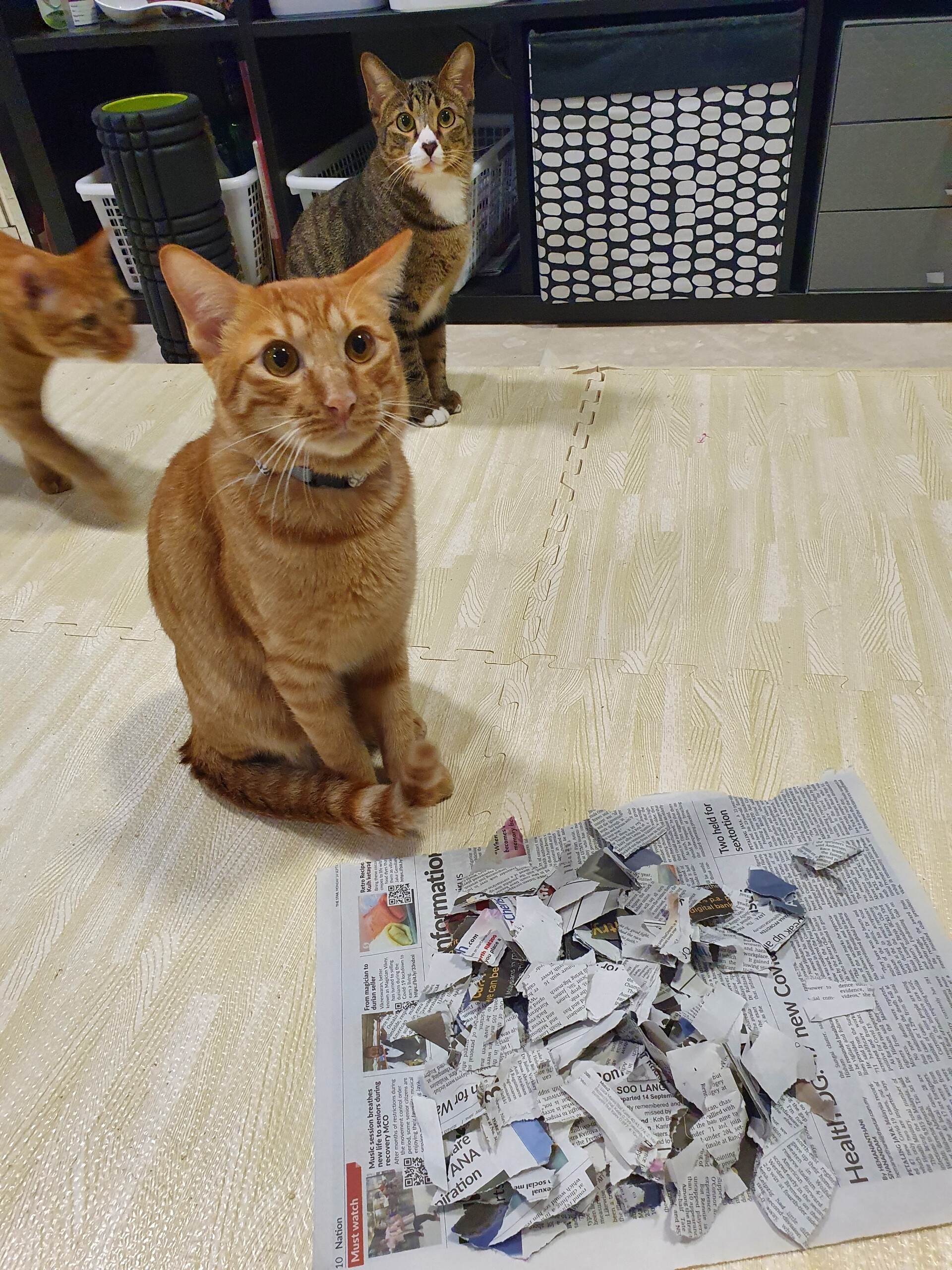 ぴえん なカンタ ねころぐ にゃんごくlife クアラルンプール Powered By ライブドアブログ