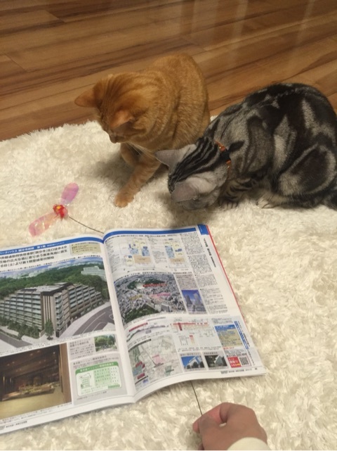 {D4B09DDD-4A77-4E3A-9BEE-4117B07BE8D1:01}