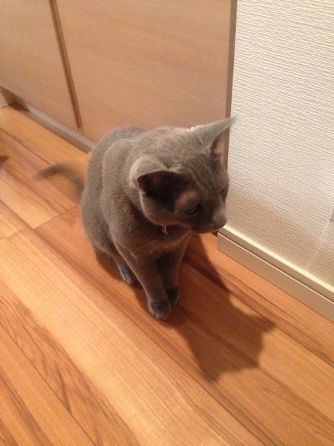 photo:06