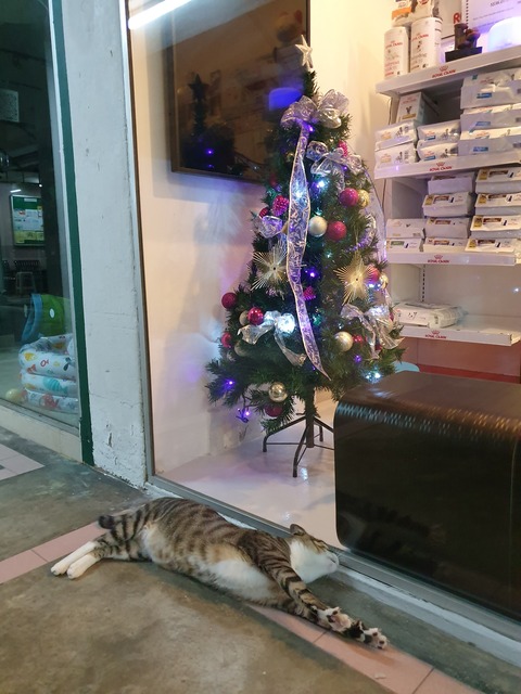 20191211_222829