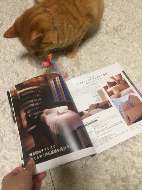 {8D904633-2076-4F61-B227-AAB7B50BB514:01}