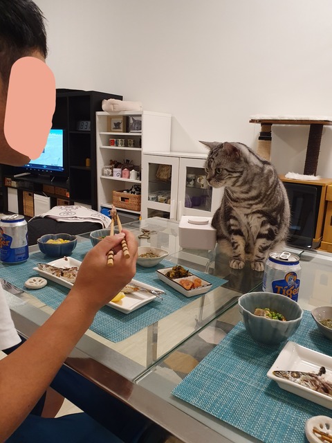 19-10-16-07-30-55-137_deco