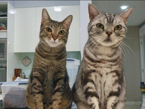 Screenshot_20211019-144259_Dropbox