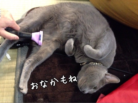 {9FED13C9-5ACD-4FBC-9901-126AC6B412C9:01}
