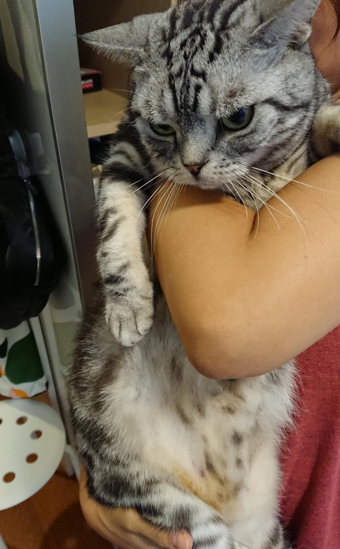 18-08-24-08-56-02-254_deco