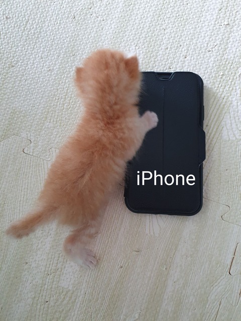 20210211_133859