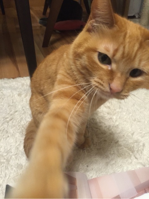 {7484C97D-62DA-476C-AD79-DA577B625A8F:01}