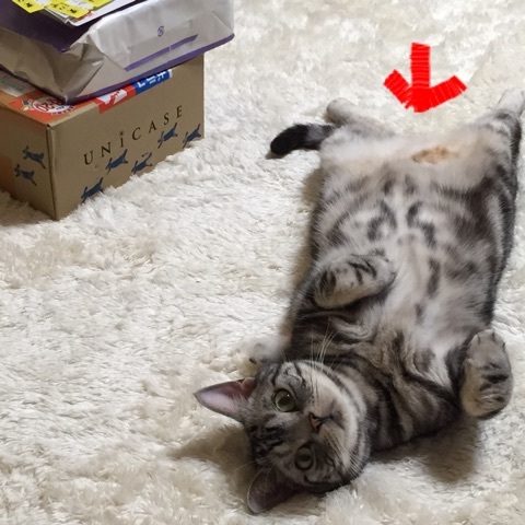 {3756E3FD-0912-4EF0-AEC9-4C815F39AD1D:01}