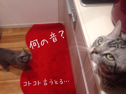 {A8FA5F7F-1D35-47EE-8DFD-451F19F1EB12:01}