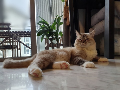 Point Blur_20191022_103332