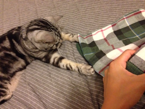 {7256C929-0E0E-4C8C-AE88-8E7AA0380343:01}