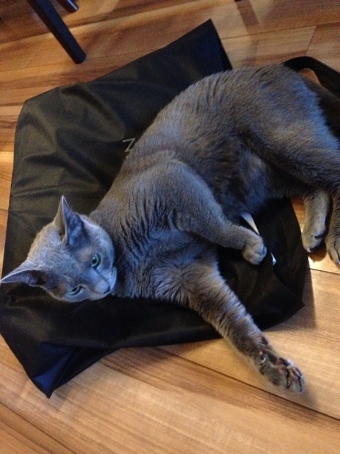 {2872DA07-EF33-4211-AAEC-327E453A9CCC:01}