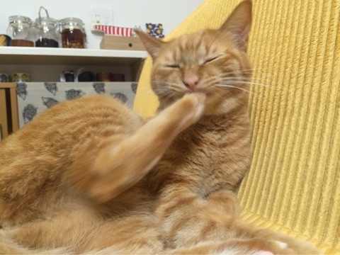 {2BE1BD6D-D5AB-47F3-95AA-A22606E07D21:01}