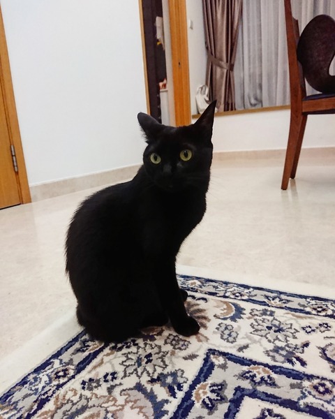 IMG_20190618_144212_310