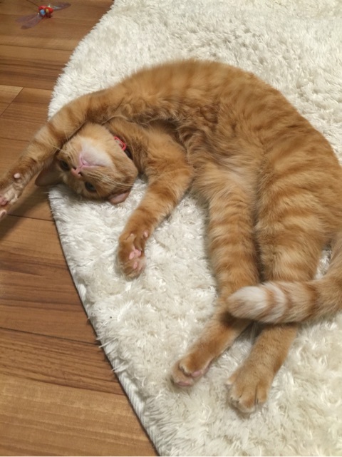 {53A7DD37-63DA-4734-96D8-10820CCBE34A:01}