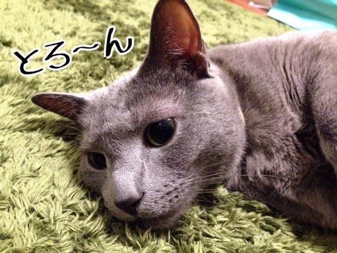 {2B4CB978-3215-431D-8ED6-0FD76C887C6F:01}