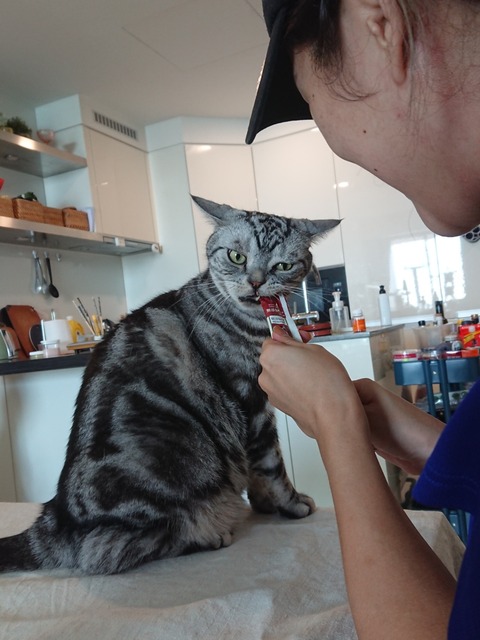 19-11-18-18-58-39-742_deco