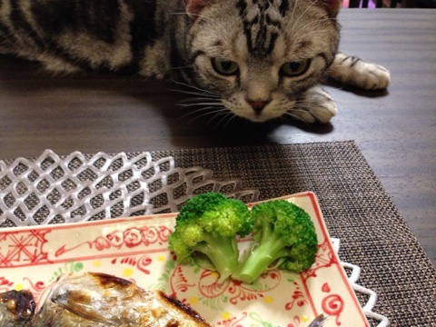 {0B8E8EE8-FBA1-4BAC-BFF6-8D1769F01BC7:01}