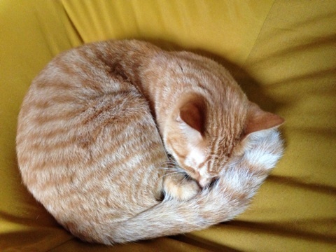 {6C1E6938-6F96-46DF-8E33-4684D2E65073:01}