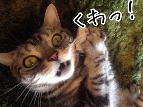 {9C7B7FA7-C2DC-4784-9DBE-CAB7518AEBD3:01}