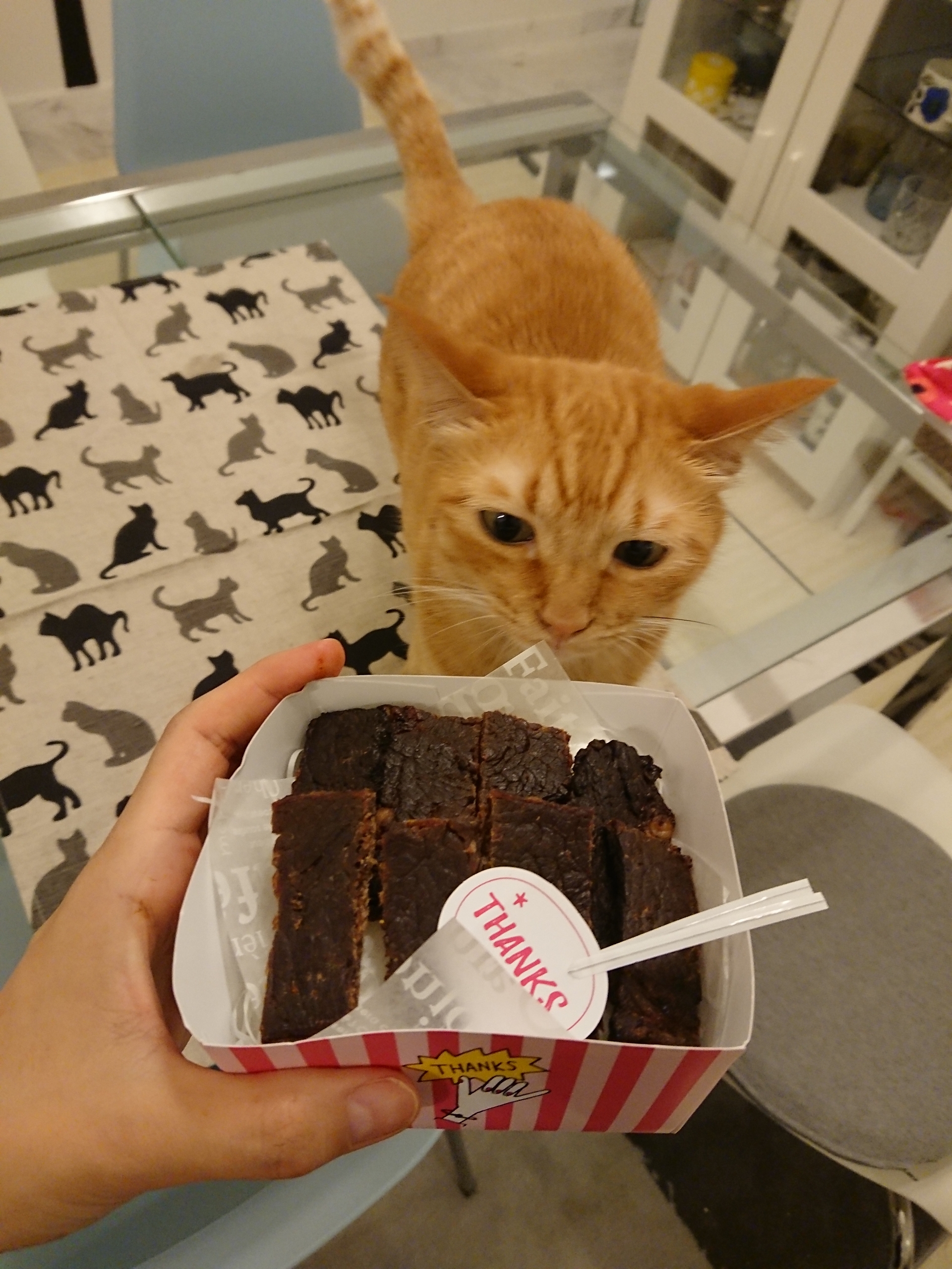 猫にも人間にも 手作りチョコ風プレゼント ねころぐ にゃんごくlife クアラルンプール Powered By ライブドアブログ