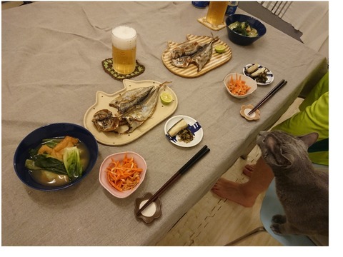 18-04-26-07-44-19-107_deco