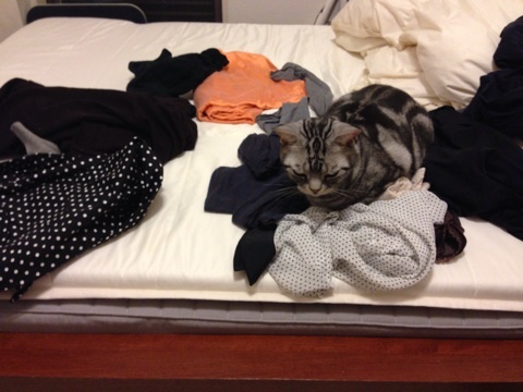 {821C5543-7E7E-4B64-BFC4-02FF24C9E8E5:01}