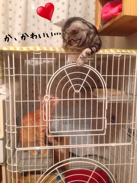 {5A293EBA-F268-4BB2-971B-CEA5F2CC1573:01}