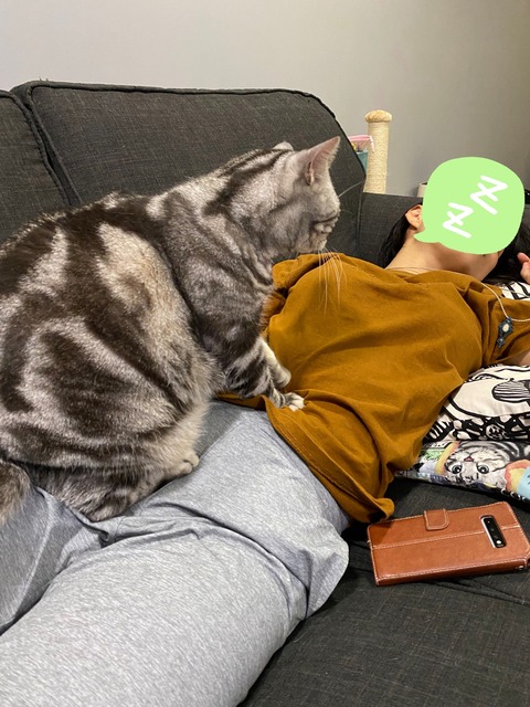 21-11-18-16-08-55-526_deco