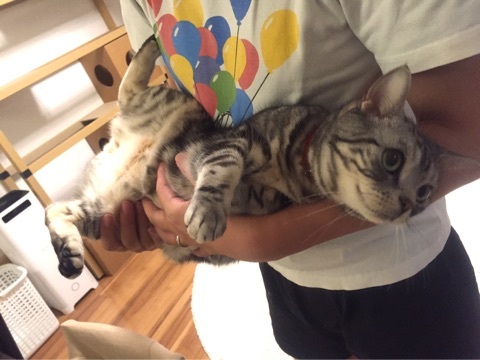 {8CCB99C0-93C0-43BC-8C9A-036A3698E6DD}